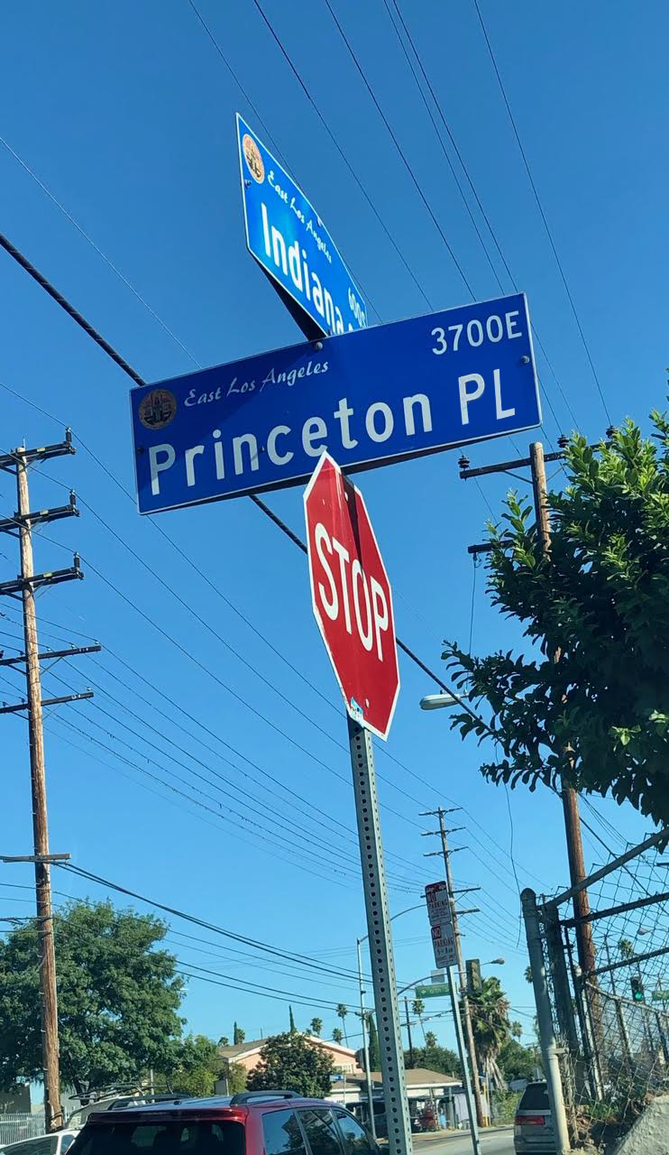 11 - PrincetonPL_StreetSign